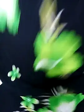 Snapshot of tamiltady chatting on 09.12.25 tamiltady online show from 09.12.25