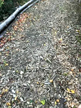 Snapshot of Mlkrrp chatting on 10.10.25 Mlkrrp online show from 10.10.25