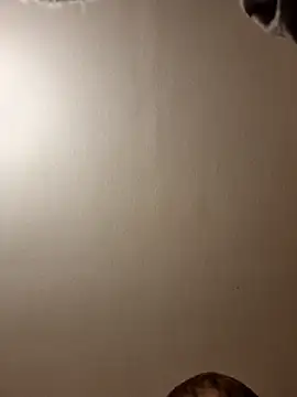 Snapshot of gazb90 chatting on 11.14.25 gazb90 online show from 11.14.25