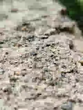 Snapshot of Girls_pussy_rider chatting on 09.14.25 Girls pussy rider online show from 09.14.25