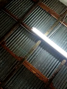 Snapshot of Fizozoo chatting on 09.21.25 Fizozoo online show from 09.21.25