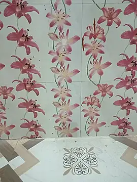 Snapshot of Meenaksi-singh chatting on 10.12.25 Meenaksi-singh online show from 10.12.25