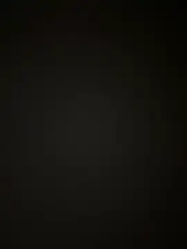 Snapshot of Handydila chatting on 10.02.25 Handydila online show from 10.02.25