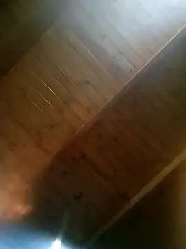 Snapshot of NOROM25 chatting on 10.22.25 NOROM25 online show from 10.22.25