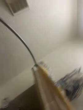 Snapshot of ChatBunnys chatting on 10.29.25 ChatBunnys online show from 10.29.25