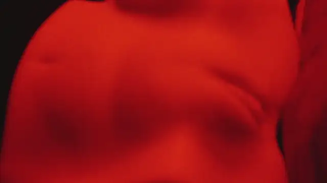 Snapshot of JrSinsx chatting on 10.29.25 JrSinsx online show from 10.29.25