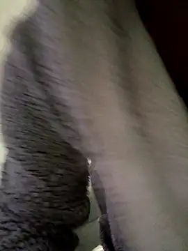 Snapshot of cameron334 chatting on 11.01.25 cameron334 online show from 11.01.25