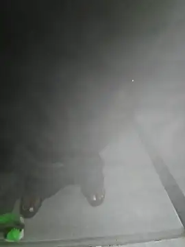 Snapshot of LundBoyram chatting on 10.28.25 LundBoyram online show from 10.28.25