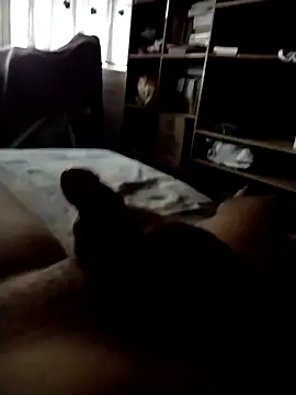 Snapshot of CadencedMimesis chatting on 09.27.25 CadencedMimesis online show from 09.27.25