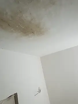 Snapshot of thunderrony chatting on 10.06.25 thunderrony online show from 10.06.25