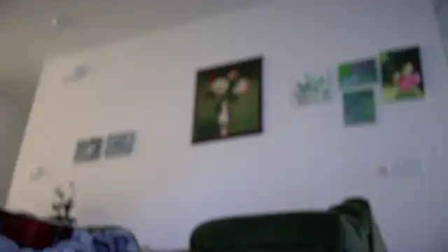 Snapshot of averysage333 chatting on 11.17.25 averysage333 online show from 11.17.25