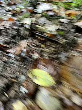 Snapshot of andymatthisbwc chatting on 10.05.25 andymatthisbwc online show from 10.05.25