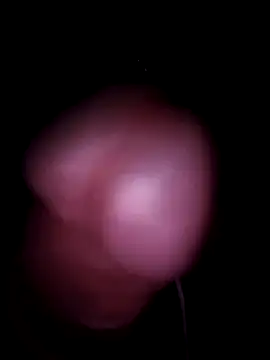 Snapshot of pursan chatting on 10.08.25 pursan online show from 10.08.25