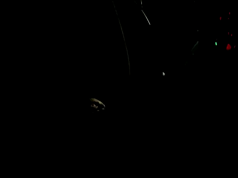 Snapshot of 011tasty chatting on 09.13.25 011tasty online show from 09.13.25