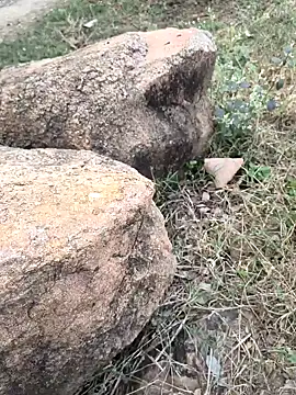 Snapshot of Ag_punam chatting on 11.16.25 Ag punam online show from 11.16.25