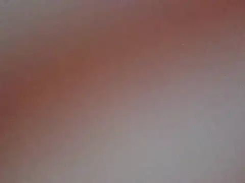 Snapshot of nuan-nuan- chatting on 10.11.25 nuan-nuan- online show from 10.11.25