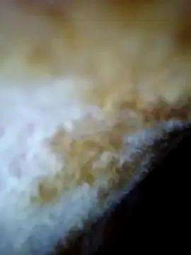 Snapshot of alone_boy802 chatting on 10.30.25 alone boy802 online show from 10.30.25