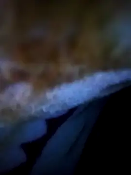 Snapshot of alone_boy802 chatting on 11.05.25 alone boy802 online show from 11.05.25