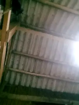 Snapshot of Ducky27021991 chatting on 10.18.25 Ducky27021991 online show from 10.18.25