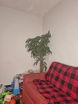 Snapshot of SweetieP11 chatting on 11.03.25 SweetieP11 online show from 11.03.25