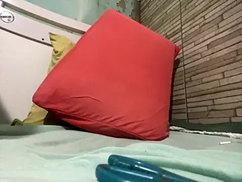 Snapshot of _DignoDePutaria_ chatting on 10.30.25  DignoDePutaria  online show from 10.30.25