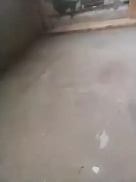 Snapshot of Lollittaxxxx2 chatting on 11.11.25 Lollittaxxxx2 online show from 11.11.25