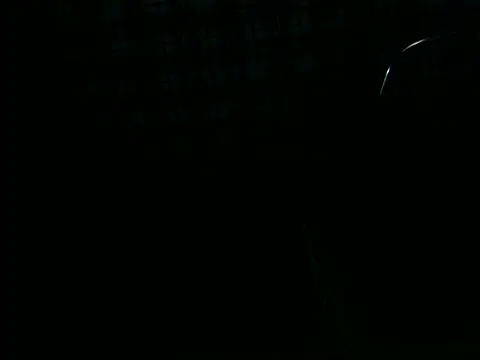 Snapshot of ellsaBunny chatting on 11.06.25 ellsaBunny online show from 11.06.25