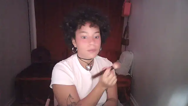 Snapshot of PrettyLittleProblem chatting on 11.12.25 PrettyLittleProblem online show from 11.12.25