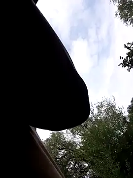 Mc02 online show from 11.11.25