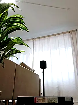 Snapshot of mister-dwt chatting on 02.26.25 mister-dwt online show from 02.26.25