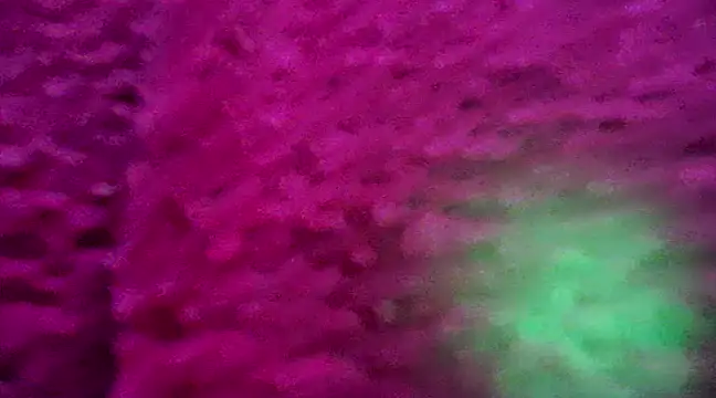 Snapshot of CZboobs chatting on 02.26.25 CZboobs online show from 02.26.25