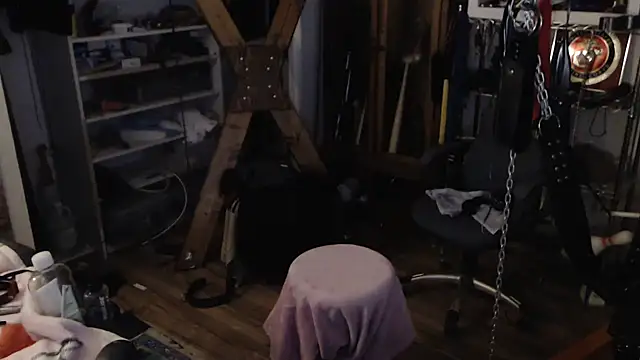 Snapshot of Transjoni chatting on 01.11.25 Transjoni online show from 01.11.25