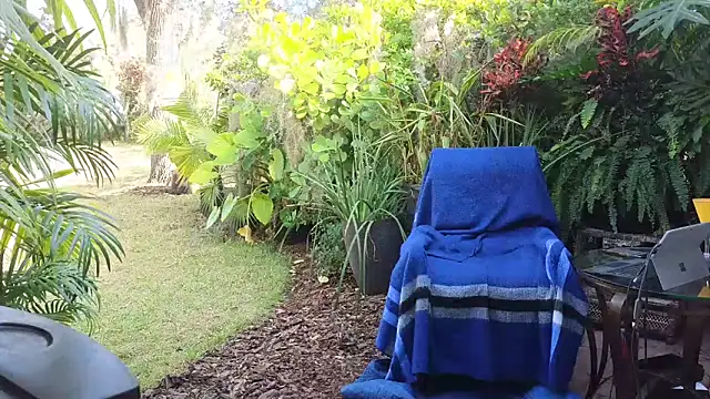 Snapshot of eliberator1777 chatting on 12.10.24 eliberator1777 online show from 12.10.24