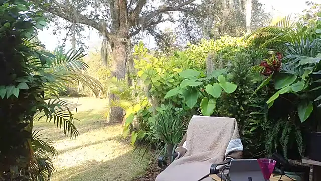 Snapshot of eliberator1777 chatting on 01.31.25 eliberator1777 online show from 01.31.25