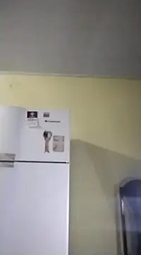 Snapshot of catdool chatting on 02.14.25 catdool online show from 02.14.25