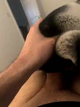 Snapshot of Furdale chatting on 12.03.24 Furdale online show from 12.03.24