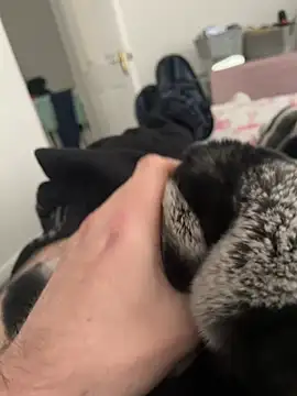 Snapshot of Furdale chatting on 12.19.24 Furdale online show from 12.19.24