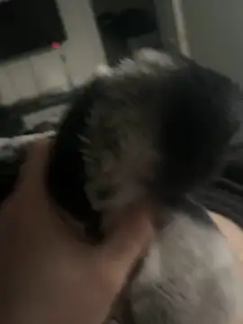 Snapshot of Furdale chatting on 01.14.25 Furdale online show from 01.14.25