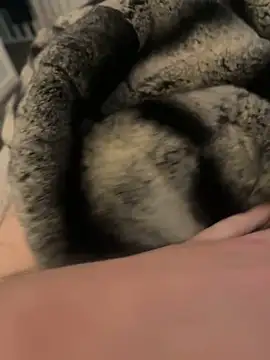 Snapshot of Furdale chatting on 02.17.25 Furdale online show from 02.17.25