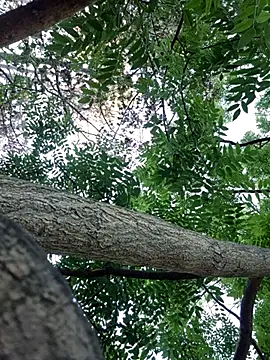 Snapshot of Keli_Jessi chatting on 09.14.25 Keli Jessi online show from 09.14.25