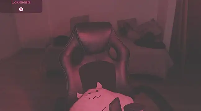 Snapshot of modjo_ chatting on 12.29.24 modjo online show from 12.29.24