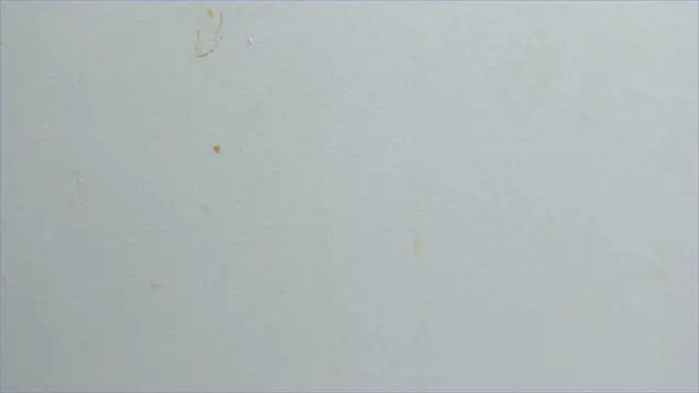 Snapshot of lisa2018 chatting on 02.21.25 lisa2018 online show from 02.21.25