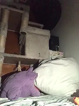 Snapshot of BIG-CkD_F chatting on 01.13.25 BIG-CkD F online show from 01.13.25