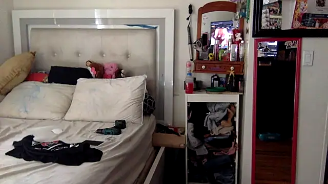 Snapshot of BIG-CkD_F chatting on 03.18.25 BIG-CkD F online show from 03.18.25