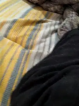 Snapshot of Yaramaz331 chatting on 03.09.25 Yaramaz331 online show from 03.09.25