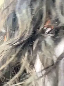 Snapshot of bea3liz chatting on 12.18.24 bea3liz online show from 12.18.24