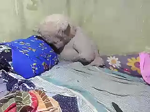 Snapshot of Alora-shine chatting on 02.18.25 Alora-shine online show from 02.18.25