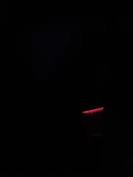 Snapshot of dingoding chatting on 01.14.25 dingoding online show from 01.14.25