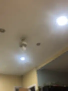 Snapshot of dingoding chatting on 02.07.25 dingoding online show from 02.07.25