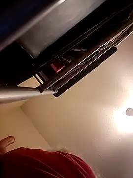 Snapshot of IMS_BHAVEN chatting on 02.17.25 IMS BHAVEN online show from 02.17.25